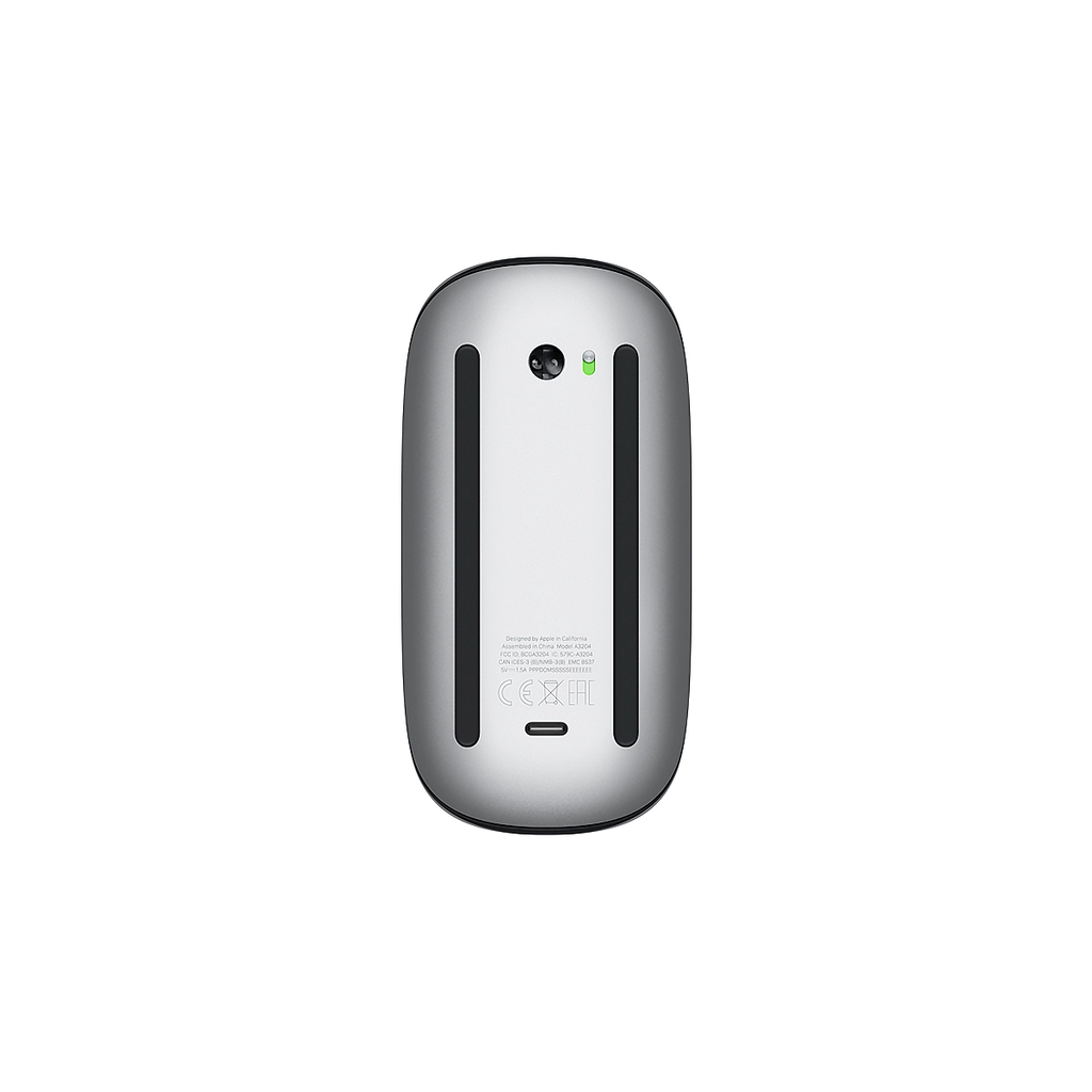 MOUSE APPLE MAGIC MULTI-TOUCH WIRELESS Surface USB-C BLACK