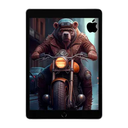 IPAD APPLE A13 64GB 10.2INC RET. DISPLAY WIFI IOS SILVER