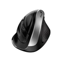 MOUSE GENIUS ERGO-8250S WIRELESS BLUEEYE SILVER GRAY