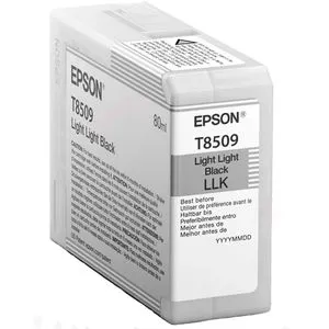 CARTUCHO EPSON T850900