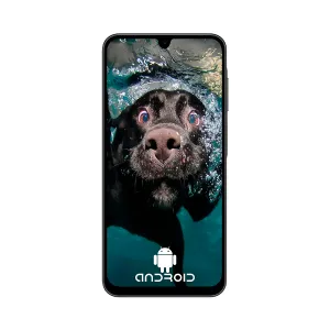 [CELSAMSMA266MZK] CELULAR SAMSUNG GALAXY SM-A266MZK OC 8GB 256GB 5G 6.7INCH 4CAM. USD USB-C  AN-15 BLACK