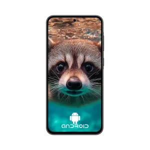 [CELSAMSMA366EZK] CELULAR SAMSUNG GALAXY SM-A36 OC 8GB 256GB 5G 6.7INCH 4CAM. USB ANDROID 14 Black